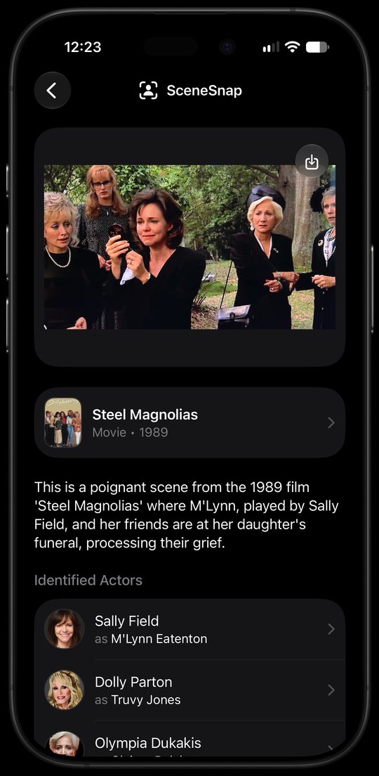 SceneSnap identifying Steel Magnolias and its actors from a clip